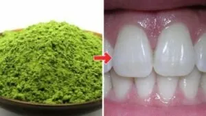 32429 wheatgrass whitening applying