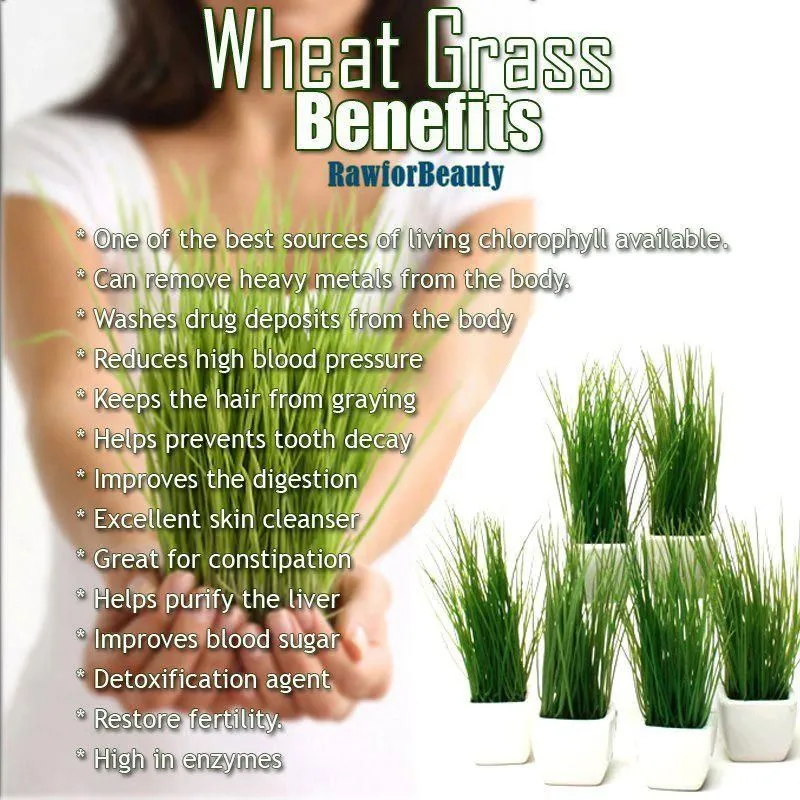 32429 wheatgrass whitening rinsing