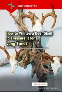 32433 deer skull protective gear