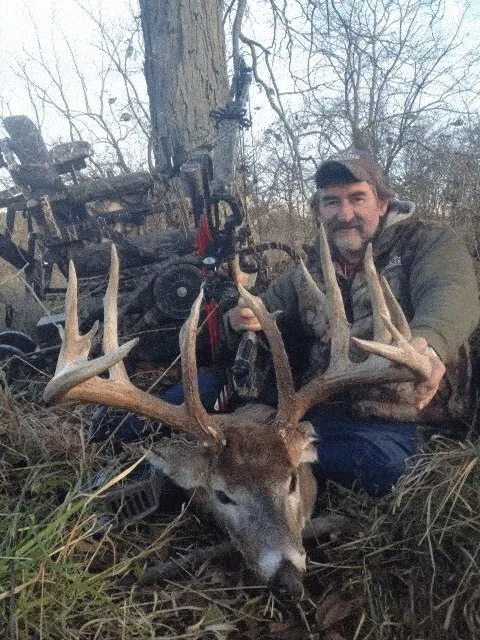 32433 deer skull whitening solution