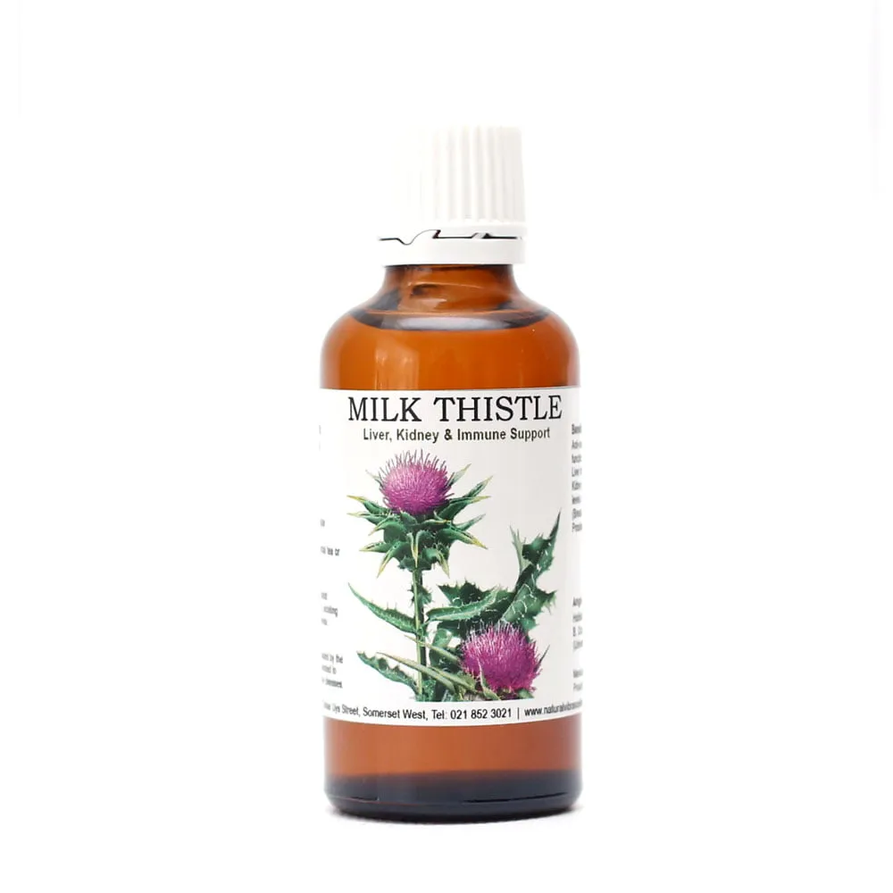 32612 milk thistle plant