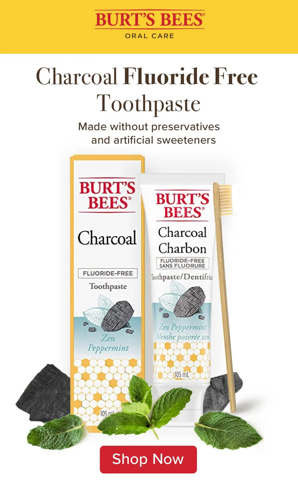 32616 burts bees charcoal toothpaste pros cons